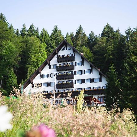 Hotel Tisa Pohorje ホコ・ポホリェ エクステリア 写真